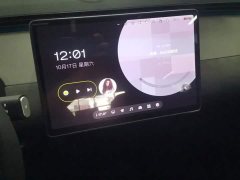 Nio Firefly Luminous Edition - ფოტო 13