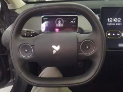 Nio Firefly Luminous Edition - ფოტო 15