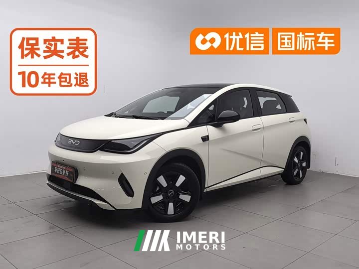 BYD Dolphin Smart Drive 410km Fashion Edition