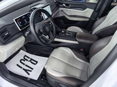 BYD Qin PLUS Champion Edition DM-i 55KM Leading - ფოტო 6
