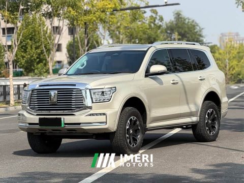 2024 Tank 500 New Energy Hi4-T - ავტომობილი ჩინეთიდან
