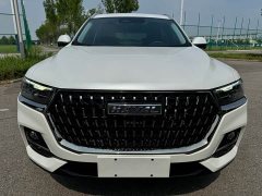 Haval H6 National Trend Edition 1.5T Automatic Champion Version - ფოტო 2