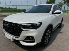 Haval H6 National Trend Edition 1.5T Automatic Champion Version - ფოტო 3