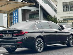 BMW 5 Series Facelift 530Li Premier M Sport Package - ფოტო 9