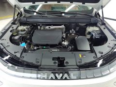 Haval Xiaolong MAX Hi4 165 Ultra Intelligent Driving Edition - ფოტო 10