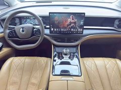 Denza D9 2022 DM-i 970 AWD Flagship - ფოტო 8