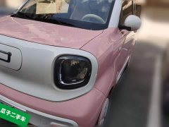 FAW Besturn Xiaoma 170km Vitality Edition - ფოტო 1