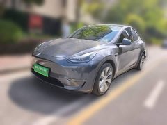 Tesla Model Y Standard Range RWD - ფოტო 1