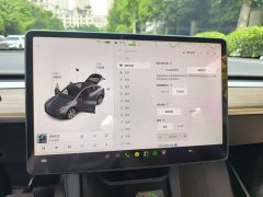Tesla Model Y Standard Range RWD - ფოტო 20