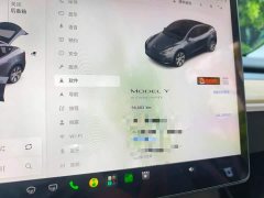 Tesla Model Y Standard Range RWD - ფოტო 8