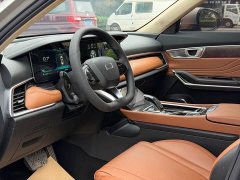 FAW Besturn T99 2.0T Automatic Deluxe Edition (6AT) - ფოტო 11