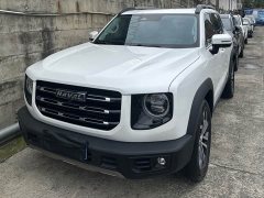 Great Wall Dachshund 1.5T DCT Two-Wheel Drive Border Collie-Wangcai Edition - ფოტო 3
