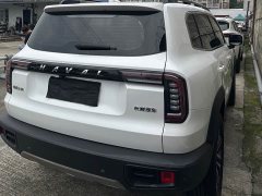 Great Wall Dachshund 1.5T DCT Two-Wheel Drive Border Collie-Wangcai Edition - ფოტო 9