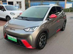 BYD Seagull Glory Edition 305km Freedom Version - ფოტო 1