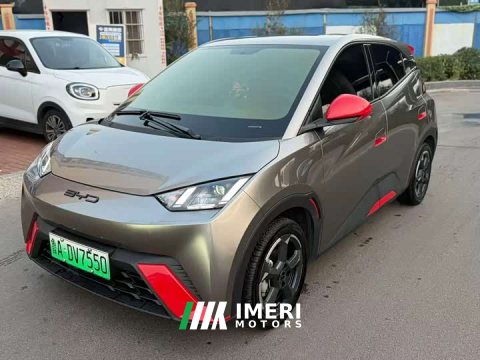 2024 BYD Seagull Glory Edition 305km Freedom Version - ავტომობილი ჩინეთიდან