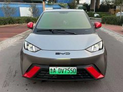 BYD Seagull Glory Edition 305km Freedom Version - ფოტო 2