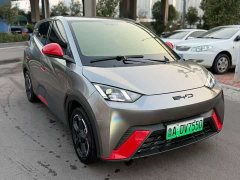 BYD Seagull Glory Edition 305km Freedom Version - ფოტო 3