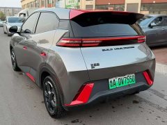 BYD Seagull Glory Edition 305km Freedom Version - ფოტო 6