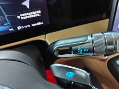 Denza D9 Gen 2 EV RWD Flash Charge Luxury Edition - ფოტო 10