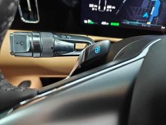 Denza D9 Gen 2 EV RWD Flash Charge Luxury Edition - ფოტო 14