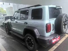 Tank 300L New Energy Tank 300L Hi4-Z - ფოტო 2