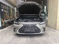 Lexus ES 300h Premium Edition - ფოტო 6