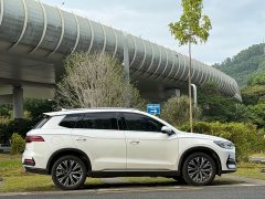 BYD Song Pro New Energy 2022 DM-i 110km Flagship - ფოტო 6