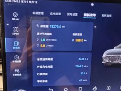 BYD Han DM-i 121KM Honor Edition - ფოტო 7