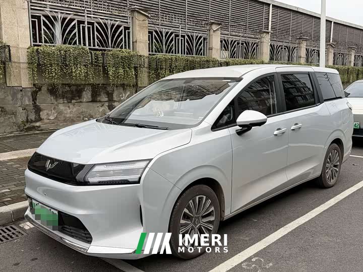 Wuling Starlight 730 New Energy Pure Electric 500km Luxury