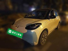 Wuling Binguo 2023 333km Joy Edition - ფოტო 1