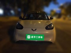 Wuling Binguo 2023 333km Joy Edition - ფოტო 2