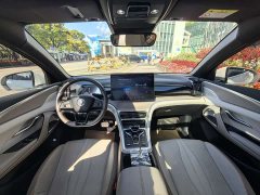 BYD Song Pro New Energy 2023 Champion Edition DM-i 110KM Excellence - ფოტო 15