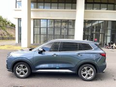 Ford Lingrui EcoBoost 170 Elite Edition - ფოტო 15