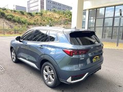 Ford Lingrui EcoBoost 170 Elite Edition - ფოტო 9