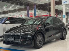 Tesla Model Y L 2025 Long Range All-Wheel Drive - ფოტო 1