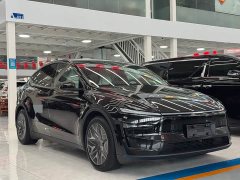Tesla Model Y L 2025 Long Range All-Wheel Drive - ფოტო 3