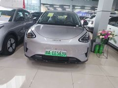 Geely Star Wish 480km Explorer Edition - ფოტო 2