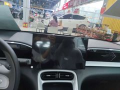 Geely Star Wish 480km Explorer Edition - ფოტო 9