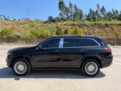 Mercedes-Benz GLS 450 4MATIC Fashion - ფოტო 10