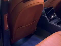 Bentley Flying Spur 4.0T V8 Standard Edition - ფოტო 6