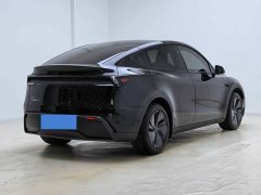 Tesla Model Y 2025 Rear-Wheel Drive - ფოტო 11