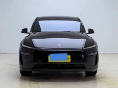 Tesla Model Y 2025 Rear-Wheel Drive - ფოტო 2