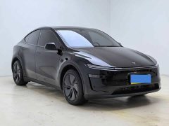 Tesla Model Y 2025 Rear-Wheel Drive - ფოტო 3