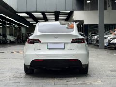 Tesla Model Y Long Range All-Wheel Drive - ფოტო 14