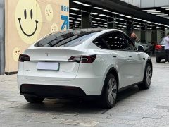 Tesla Model Y Long Range All-Wheel Drive - ფოტო 15