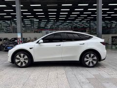Tesla Model Y Long Range All-Wheel Drive - ფოტო 16