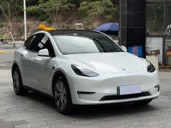 Tesla Model Y Long Range All-Wheel Drive - ფოტო 3