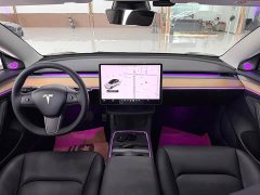 Tesla Model 3 Standard Range RWD Upgrade 3D6 - ფოტო 2