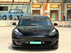 Tesla Model 3 Standard Range RWD Upgrade 3D6 - ფოტო 6