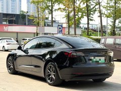 Tesla Model 3 Standard Range RWD Upgrade 3D6 - ფოტო 8